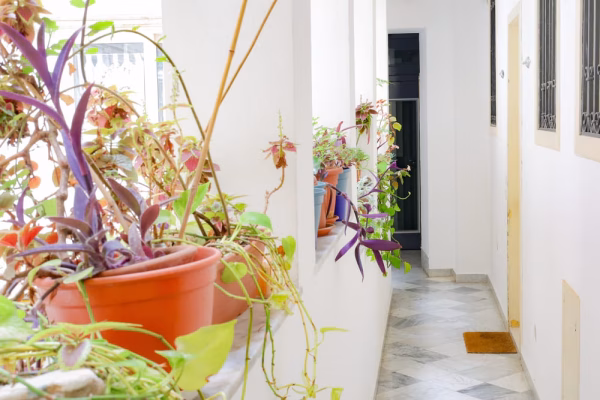 accomodation-shared-spaces (12)